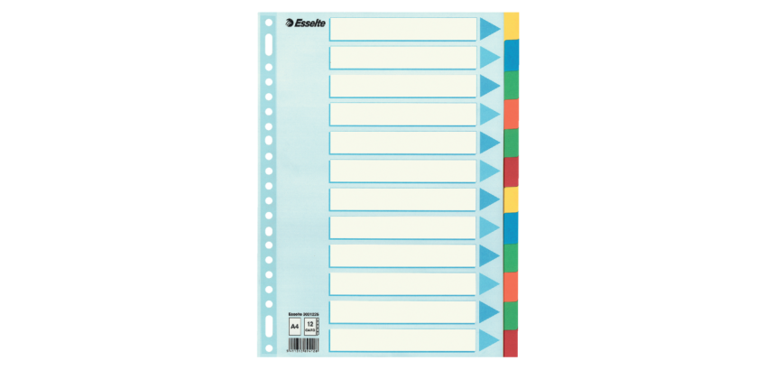 Esselte Register 12 Registerkarten, Karton 220 g/m²