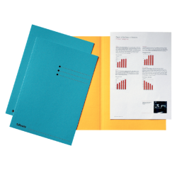 Printed folder 180 g Esselte 22 x 31,5 cm - Pack of 100