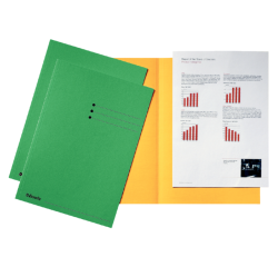 Esselte chemise de classement, vert, carton de 180 g/m², paquet de 100 pièces