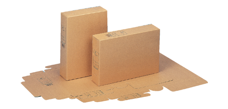 Boîte à archives Esselte A4 avec impression brun