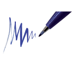 Feutre Pinceau Pentel SES15C Sign Artist couleurs standard assorti boîte 12 pièces