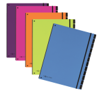 Pagna Trend A4 orange sorter with 12 dividers