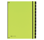 Sorteermap Pagna Trend A4 12 tabs appelgroen