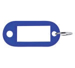 Blue plastic Pavo keychains, 100 pieces