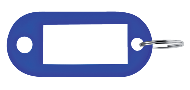 Blue plastic Pavo keychains, 100 pieces