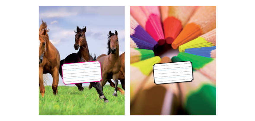 Cahier Kangaro 165x210mm 72 pages 80g