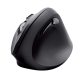 Souris optique Hama EMW-500 sans fil noir