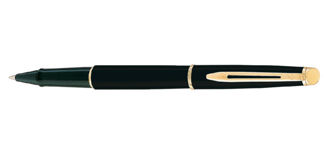 Wasserman Hémisphère Roller Schwarz Matt GT Fein