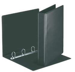 Presentatieringband Esselte panorama A4 4-rings D-mechaniek 20mm PP zwart