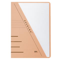 Chemise triangulaire Djois Secolor A4 recyclé 250g chamois