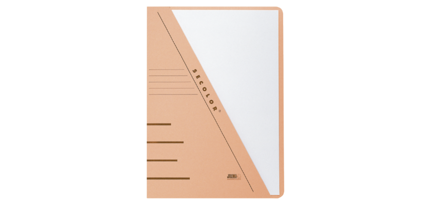 Chemise triangulaire Djois Secolor A4 recyclé 250g chamois