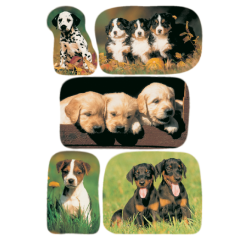 Etiquette HERMA 3528 Photos de chiots