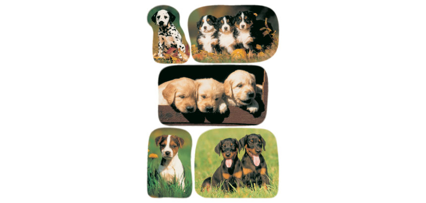 HERMA 3528 Labels Puppy Photos