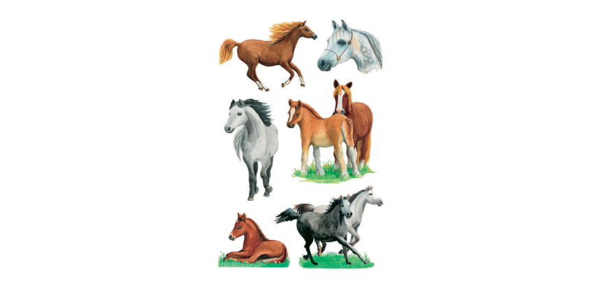 HERMA Label 3553 Horse Breeds