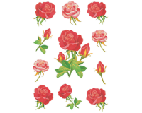 Etiket HERMA 3581 rozen