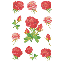 Etiquette HERMA 3581 Roses