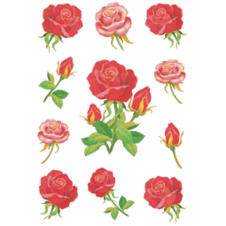 Etiquette HERMA 3581 Roses