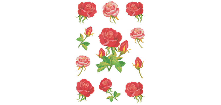 Etiket HERMA 3581 rozen