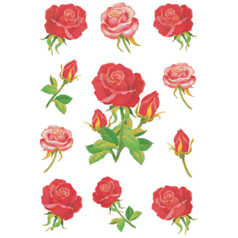 Etiquette HERMA 3581 Roses