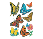 HERMA Label 3801 Butterfly