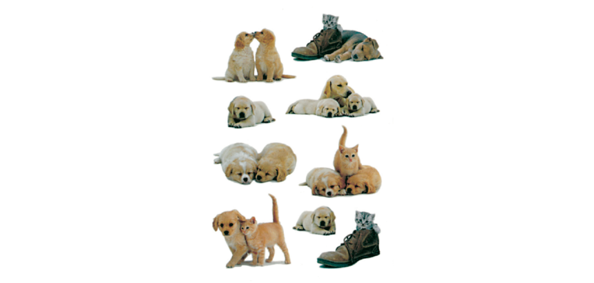 HERMA 5606 Puppy Label