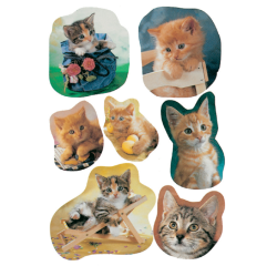 Etiquette HERMA 5747 Chats photogéniques