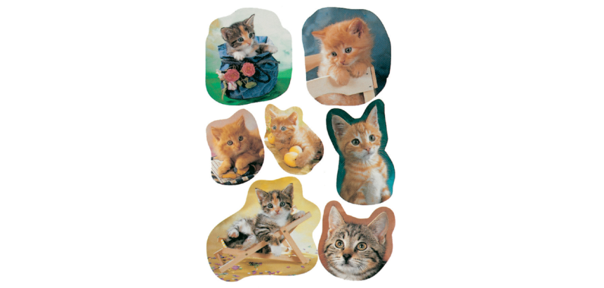 HERMA 5747 Photogenic Cats Label