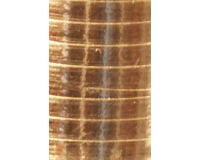 Polyband Haza 5mm x 250m metallic goud