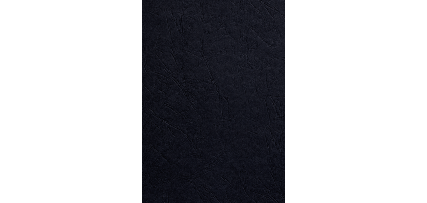 Couverture GBC A4 similicuir noir 100 pièces