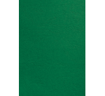 Couverture GBC A4 similicuir groen 100 pièces