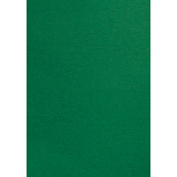 Couverture GBC A4 similicuir groen 100 pièces