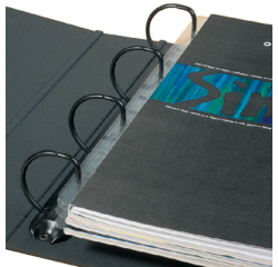 Bande de classement Djois Filestrip A4 295mm 2/4 anneaux transparent 50 pièces