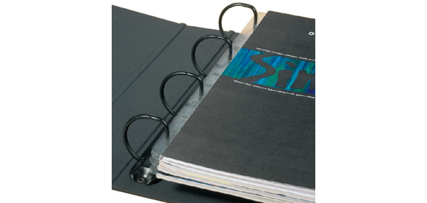 Bande de classement Djois Filestrip A4 295mm 2/4 anneaux transparent 50 pièces