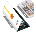 Bande de classement Djois Filestrip A4 295mm 2/4 anneaux transparent 100 pièces