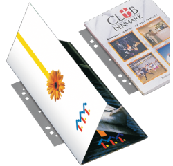 Bande de classement Djois Filestrip A4 295mm 2/4 anneaux transparent 100 pièces