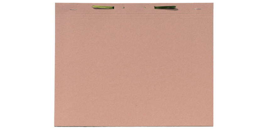 Chemise à lamelles Djois A4 300g chamois
