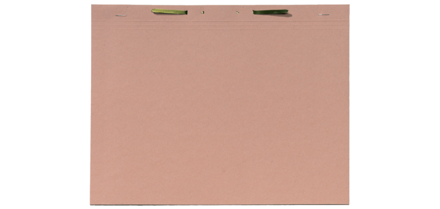 Chemise à lamelles Djois folio 300g chamois