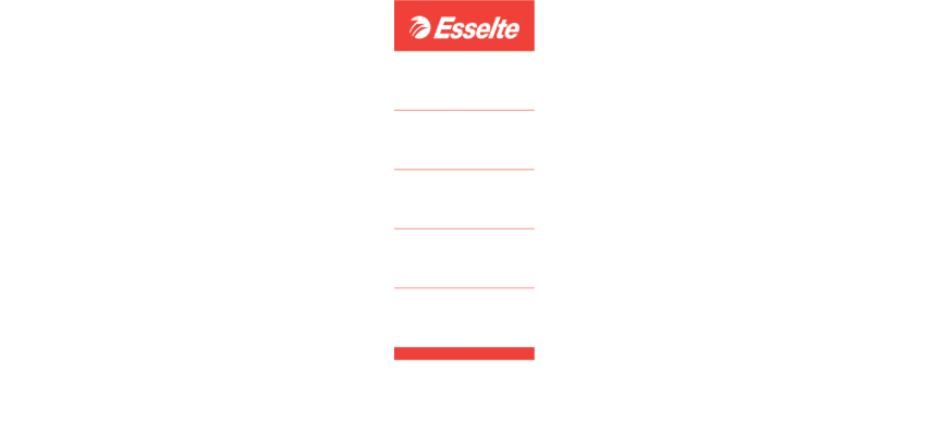 Rückenschild Esselte Schmall 30x158mm weiß 100 Stück