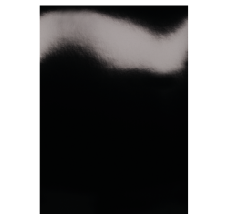 En_higloss couver a4 noir 100x
