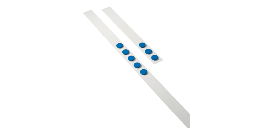 Wandlijst Desq 100cm met 5 blauwe magneten van 32mm
