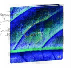 Quo Vadis - Agenda - 2026 - Exécutif - Semainier Planning - Français - Hipsy - Multicolore - 13 mois de déc. à déc. - 16x16 cm