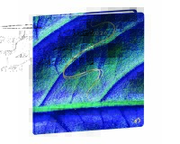 Quo Vadis - Agenda - 2026 - Exécutif - Semainier Planning - Français - Hipsy - Multicolore - 13 mois de déc. à déc. - 16x16 cm