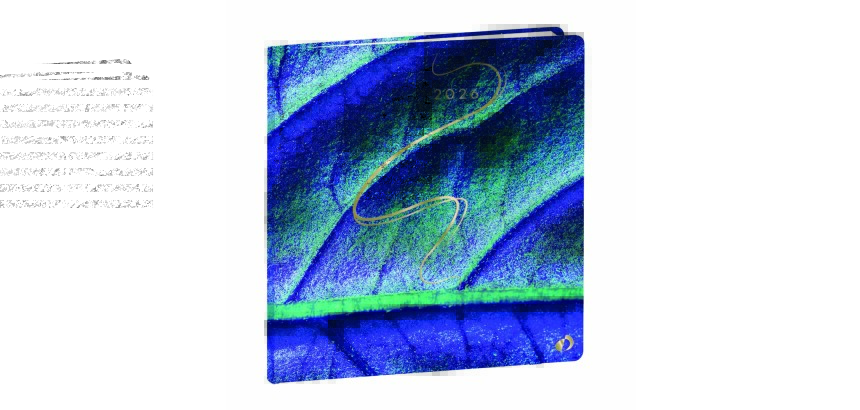 Quo Vadis - Agenda - 2026 - Exécutif - Semainier Planning - Français - Hipsy - Multicolore - 13 mois de déc. à déc. - 16x16 cm