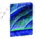 Quo Vadis - Agenda - 2026 - Ministre - Semainier Planning - Français - Hipsy - Multicolore - 13 mois de déc. à déc. - 16x24 cm