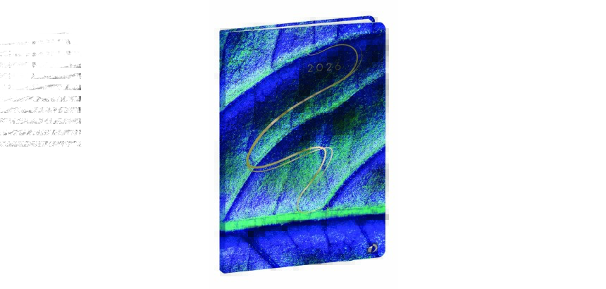 Quo Vadis - Agenda - 2026 - Ministre - Semainier Planning - Français - Hipsy - Multicolore - 13 mois de déc. à déc. - 16x24 cm