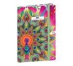 Quo Vadis - Agenda - 2026 - Ministre - Semainier Planning - Français - Catalina Estrada - Multicolore - 13 mois de déc. à déc. - 16x24 cm