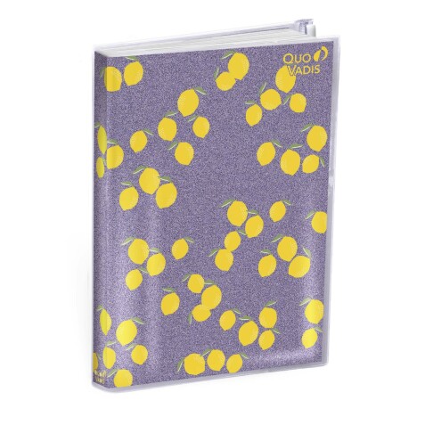 Quo Vadis - Agenda année scolaire - 2025-2026 - Universitaire - Semainier Planning - Français - My Agenda - Multicolore - 13 mois de août à août - 10x15 cm