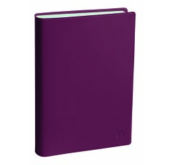 Quo Vadis - Agenda 16 mois - 2025-2026 - Planning 21 SD - Semainier Notes - Multilingue - Touch - 16 mois de sept à déc. - 15x21 cm