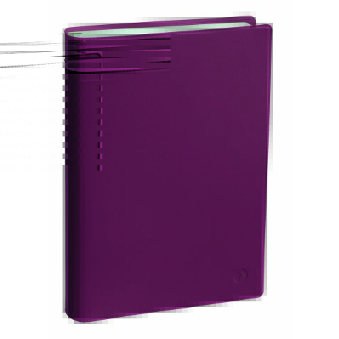 Quo Vadis - Agenda 16 mois - 2025-2026 - Planning 21 SD - Semainier Notes - Multilingue - Touch - 16 mois de sept à déc. - 15x21 cm