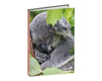 Quo Vadis - Agenda année scolaire - 2026-2027 - Eurotextagenda - Journalier - Multilingue - Mes potes à pattes sauvages - Koala - 12 mois de août à juillet - 12x17 cm